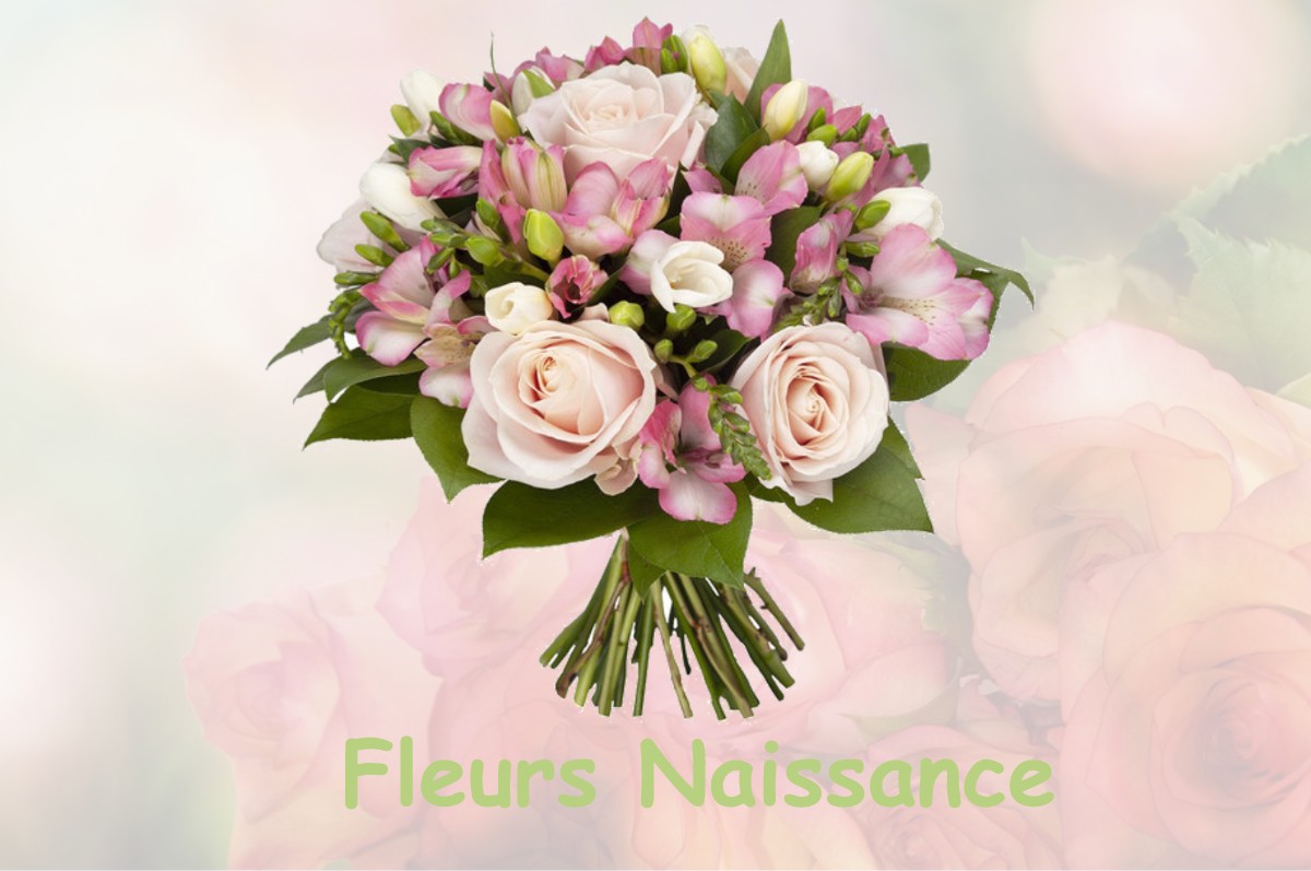 fleurs naissance VILLEVOQUES