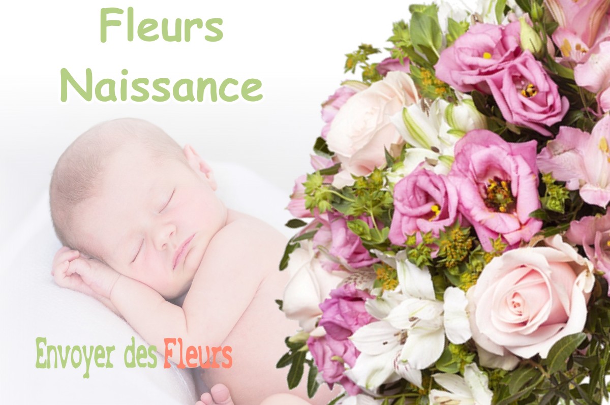 lIVRAISON FLEURS NAISSANCE à VILLEVOQUES