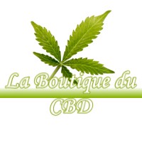 LA BOUTIQUE DU CBD VILLEVOQUES 